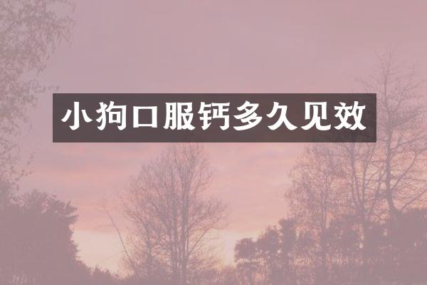 小狗口服钙多久见效