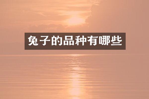 兔子的品种有哪些