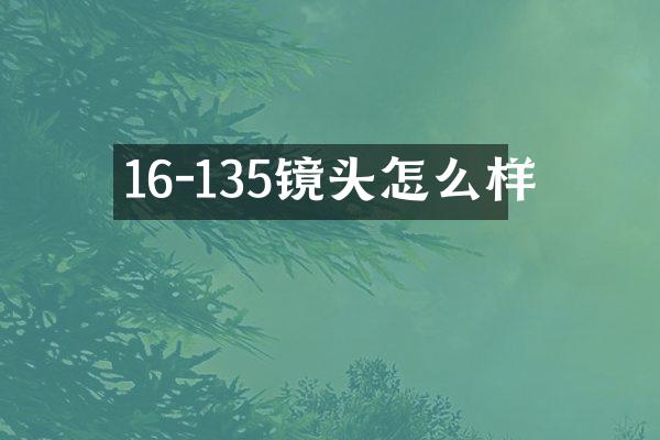 16-135镜头怎么样