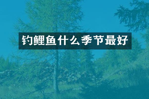 钓鲤鱼什么季节最好