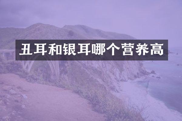 丑耳和银耳哪个营养高