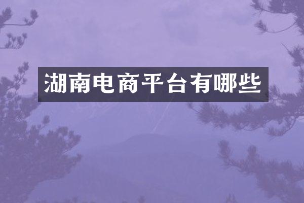 湖南电商平台有哪些
