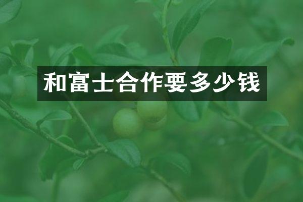 和富士合作要多少钱