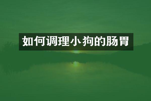 如何调理小狗的肠胃