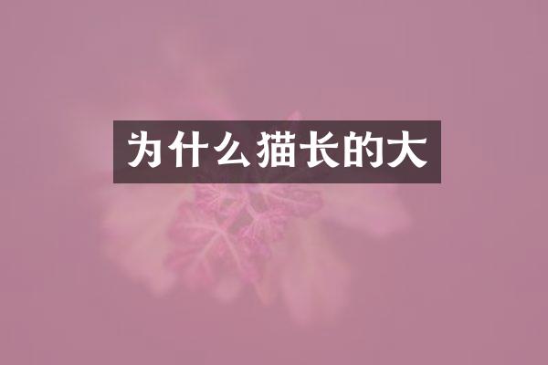 为什么猫长的大