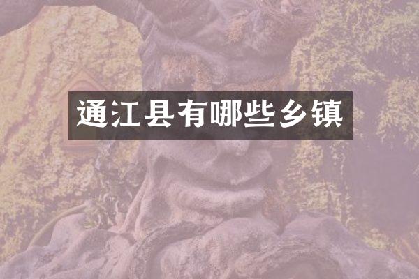 通江县有哪些乡镇