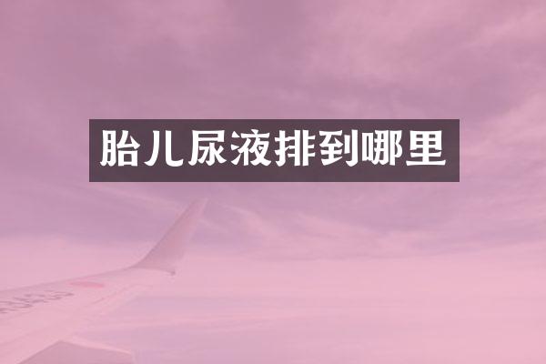 胎儿尿液排到哪里