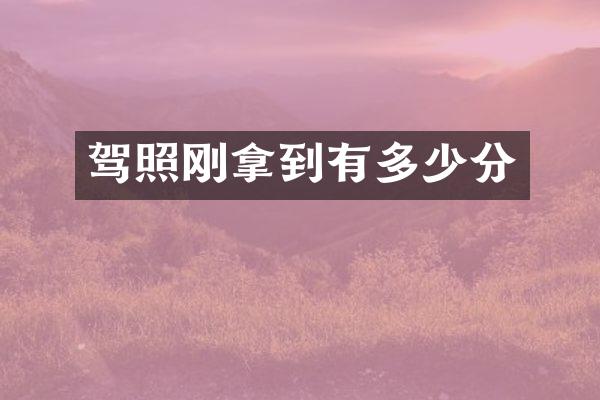 驾照刚拿到有多少分