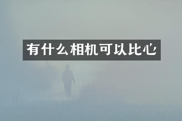 有什么相机可以比心