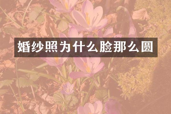 婚纱照为什么脸那么圆