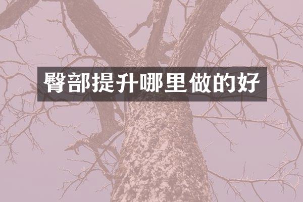 臀部提升哪里做的好