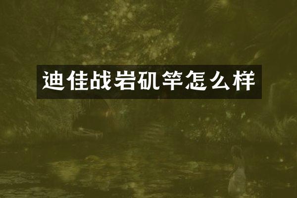 迪佳战岩矶竿怎么样