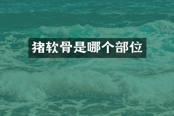 猪软骨是哪个部位