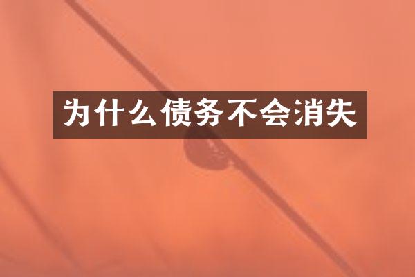 为什么债务不会消失
