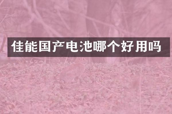 佳能国产电池哪个好用吗