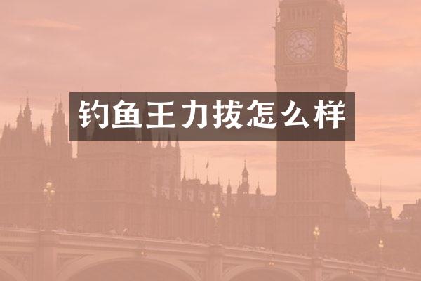 钓鱼王力拔怎么样