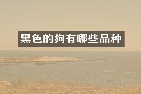 黑色的狗有哪些品种