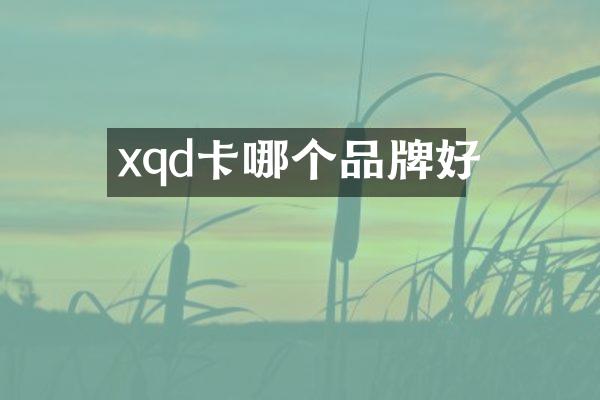 xqd卡哪个品牌好