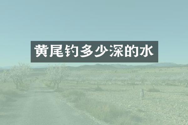 黄尾钓多少深的水
