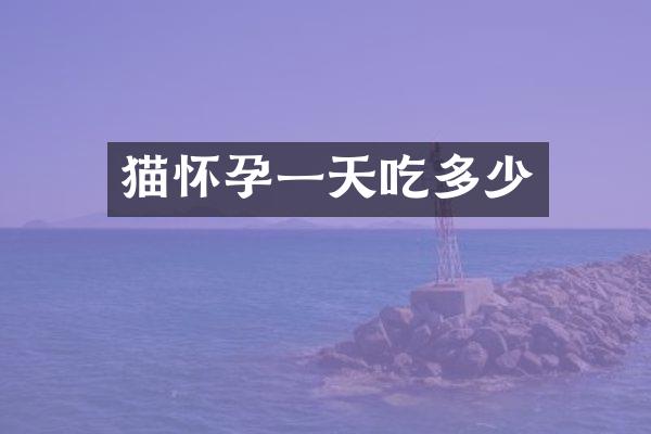 猫怀孕一天吃多少