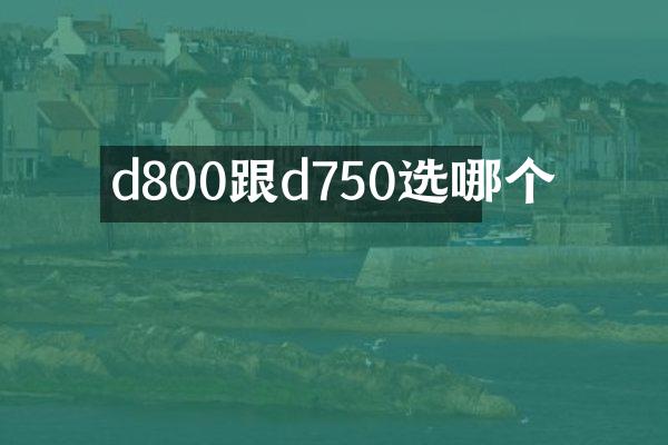 d800跟d750选哪个