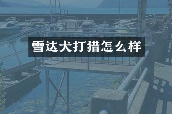 雪达犬打猎怎么样