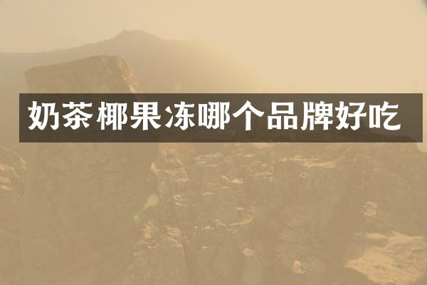 奶茶椰果冻哪个品牌好吃