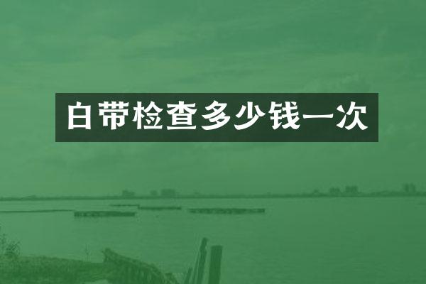 白带检查多少钱一次