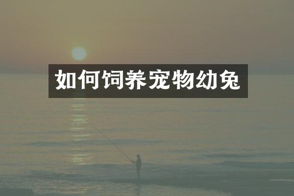 如何饲养宠物幼兔