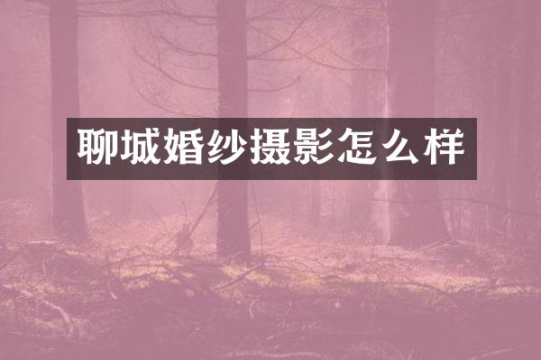 聊城婚纱摄影怎么样