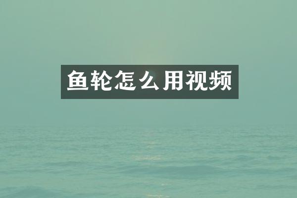 鱼轮怎么用视频