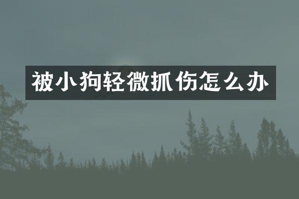 被小狗轻微抓伤怎么办