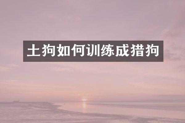 土狗如何训练成猎狗