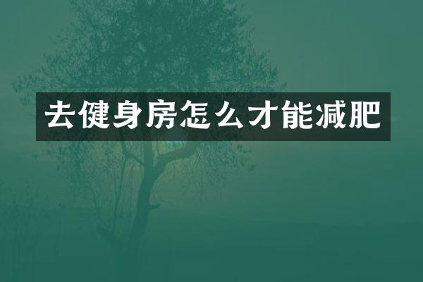 去健身房怎么才能减肥