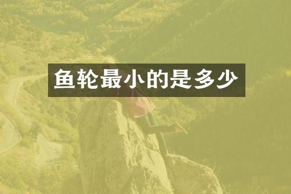 鱼轮最小的是多少