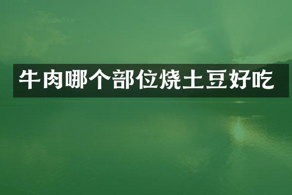 牛肉哪个部位烧土豆好吃