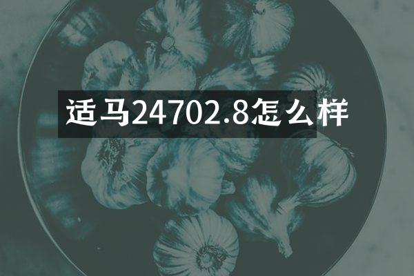 适马24702.8怎么样