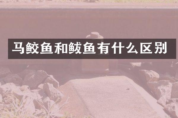 马鲛鱼和鲅鱼有什么区别