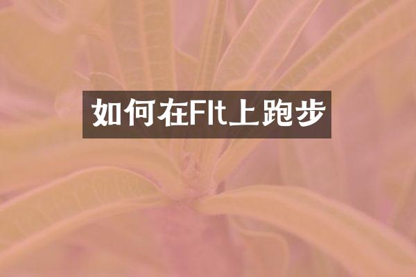 如何在FIt上跑步