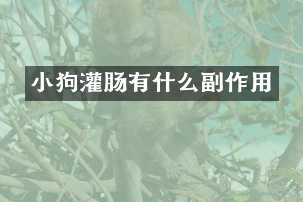 小狗灌肠有什么副作用