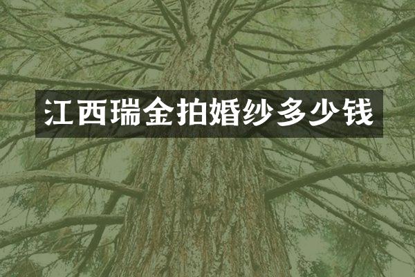 江西瑞金拍婚纱多少钱