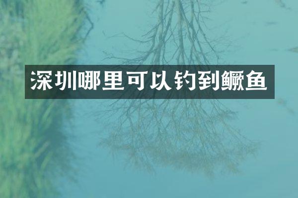 深圳哪里可以钓到鳜鱼