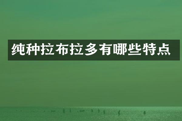 纯种拉布拉多有哪些特点