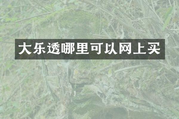 大哪里可以网上买