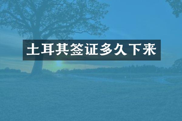 土耳其签证多久下来