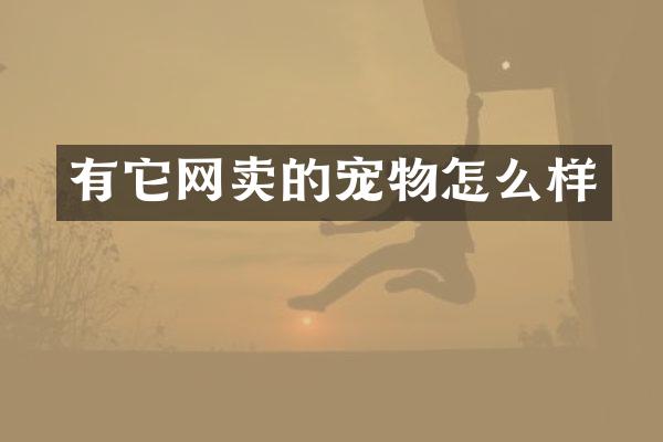 有它网卖的宠物怎么样