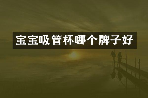 宝宝吸管杯哪个牌子好