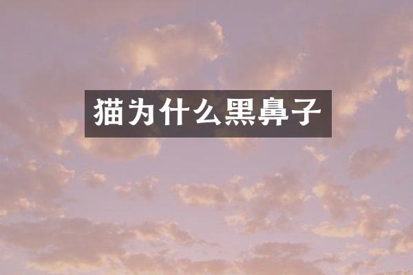 猫为什么黑鼻子