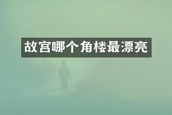 故宫哪个角楼最漂亮