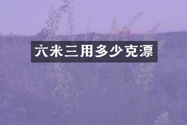 六米三用多少克漂